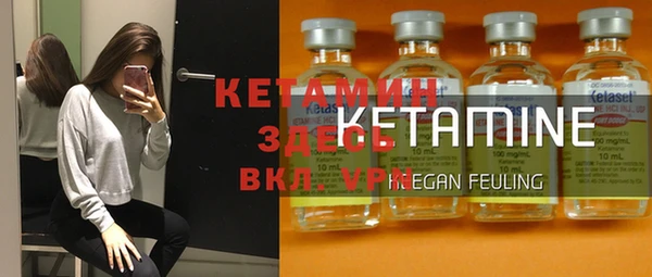 стаф Алзамай