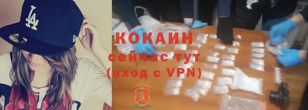 дурь Арсеньев