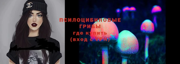 твердый Балахна