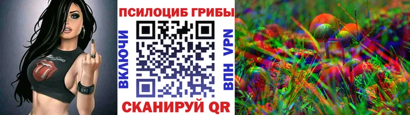 Купить закладки  Славянск-на-Кубани  Псилоцибиновые грибы мицелий 